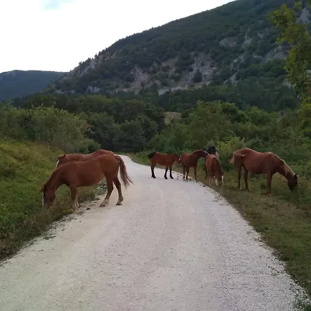 Bed & Breakfast Famiglia Nel Vento Caramanico Terme