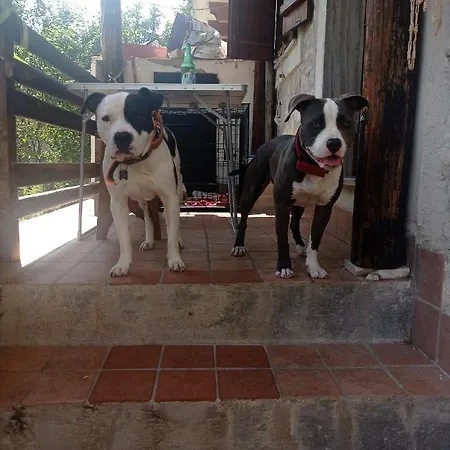 Bed & Breakfast Famiglia Nel Vento Caramanico Terme