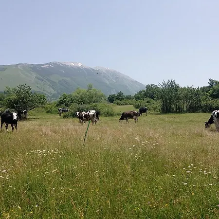 Famiglia Nel Vento 3*