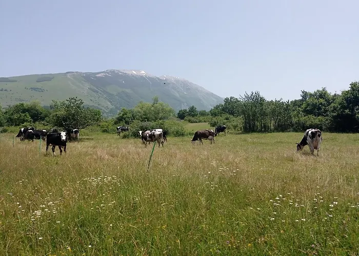 Famiglia Nel Vento 3*