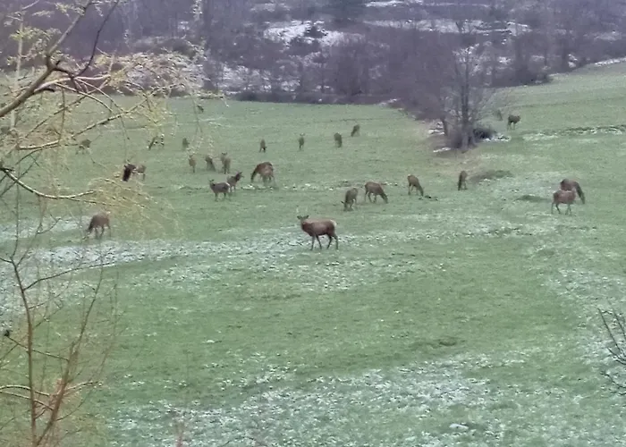 Famiglia Nel Vento Караманико-Терме